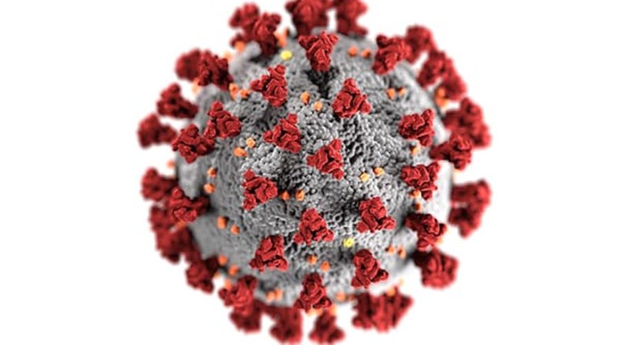 coronavirus